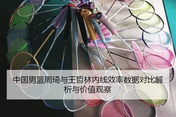中国男篮周琦与王哲林内线效率数据对比解析与价值观察